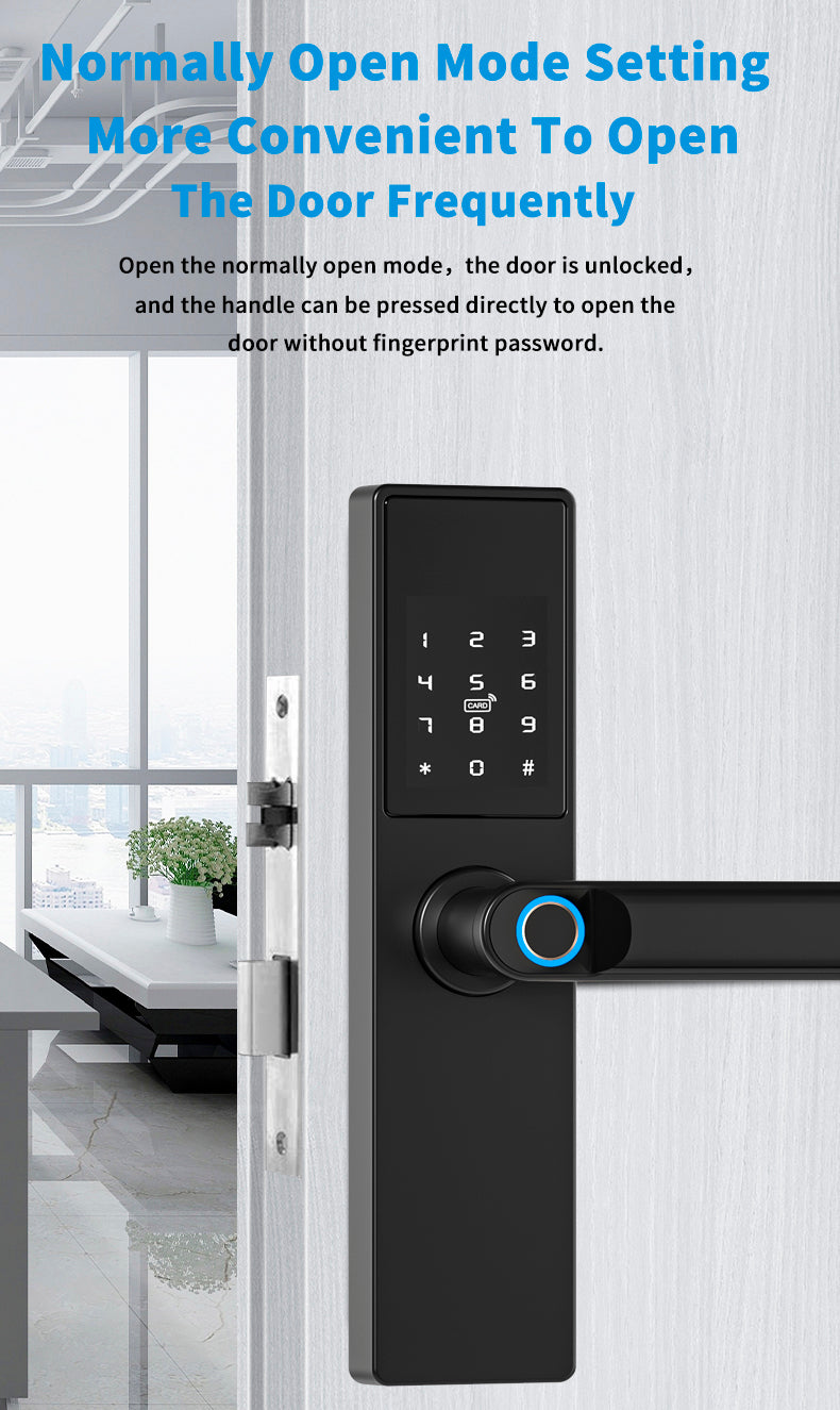 Smart WiFi Biometric Lock