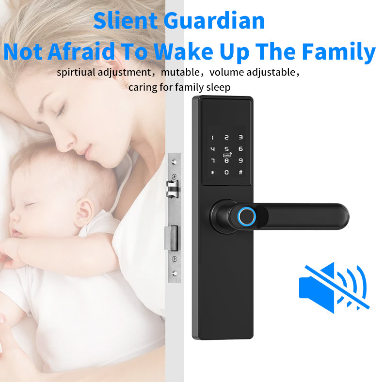 Smart WiFi Biometric Lock
