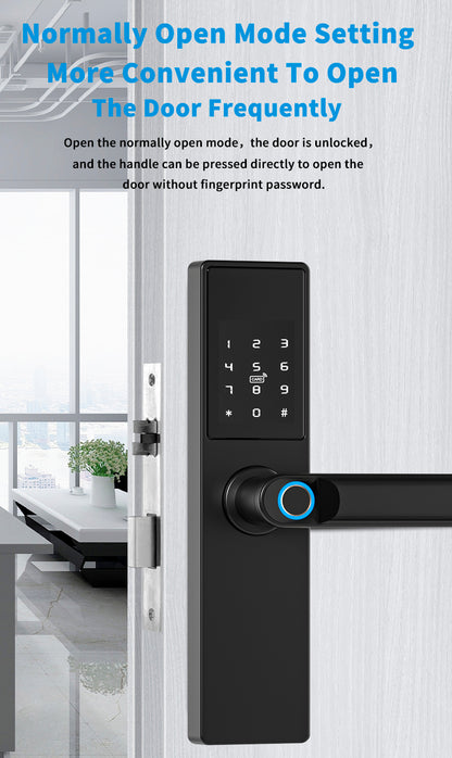 Smart WiFi Biometric Lock 