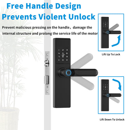 Smart WiFi Biometric Lock 